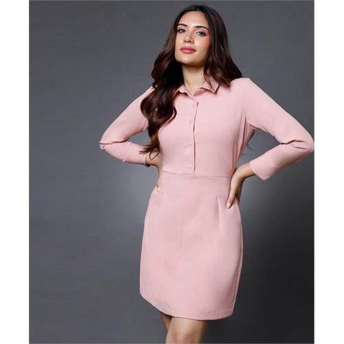 Front Dart detailed Shirt dress