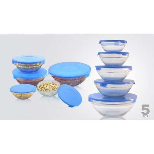 Pack of 5 Glass Bowls With Lids Microwavable