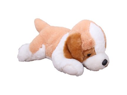 Dog Soft Toy
