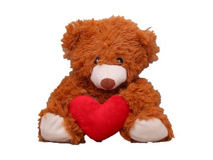 Teddy With Love