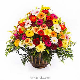 Flower Republic Basket of Gerberas