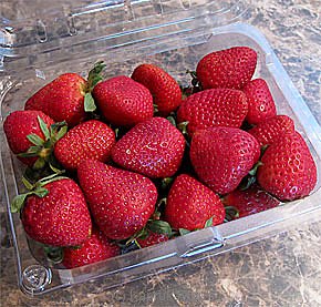 Jagro Strawberry Pack 250g