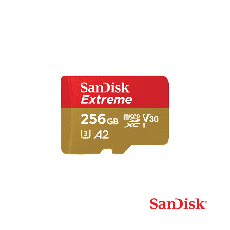 SanDisk Extreme MicroSDXC1 256GB