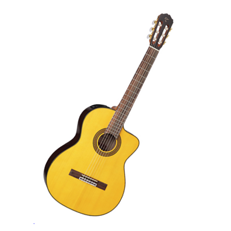 Takamine Acoustic Guitar - GC 5CE